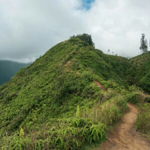 Ends_Cycling_Hawaii_Bike_Ride_2025 (7)